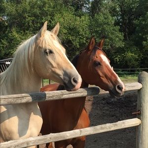 Meet your Posher, Tanya